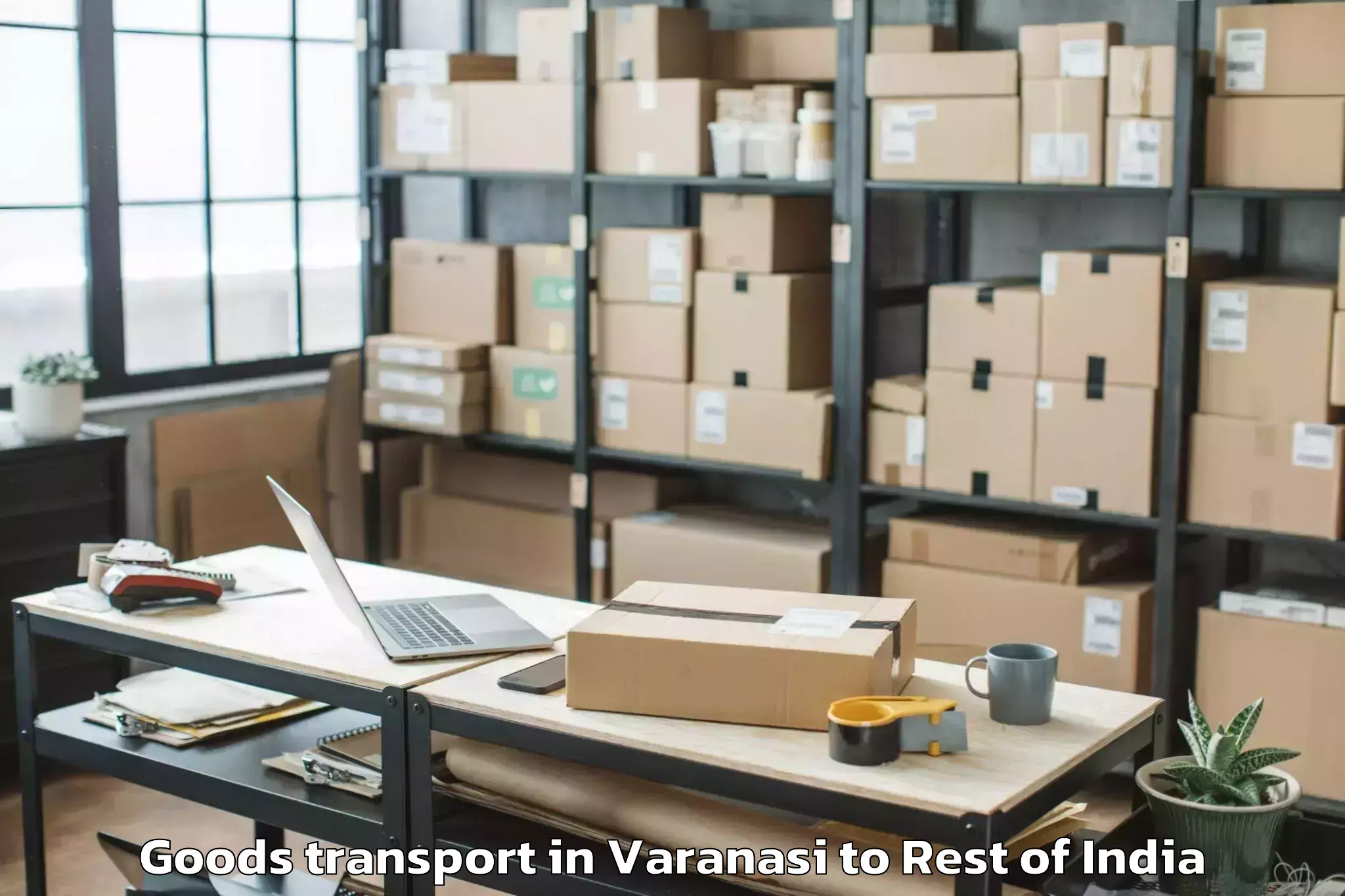 Efficient Varanasi to Julapalli Goods Transport